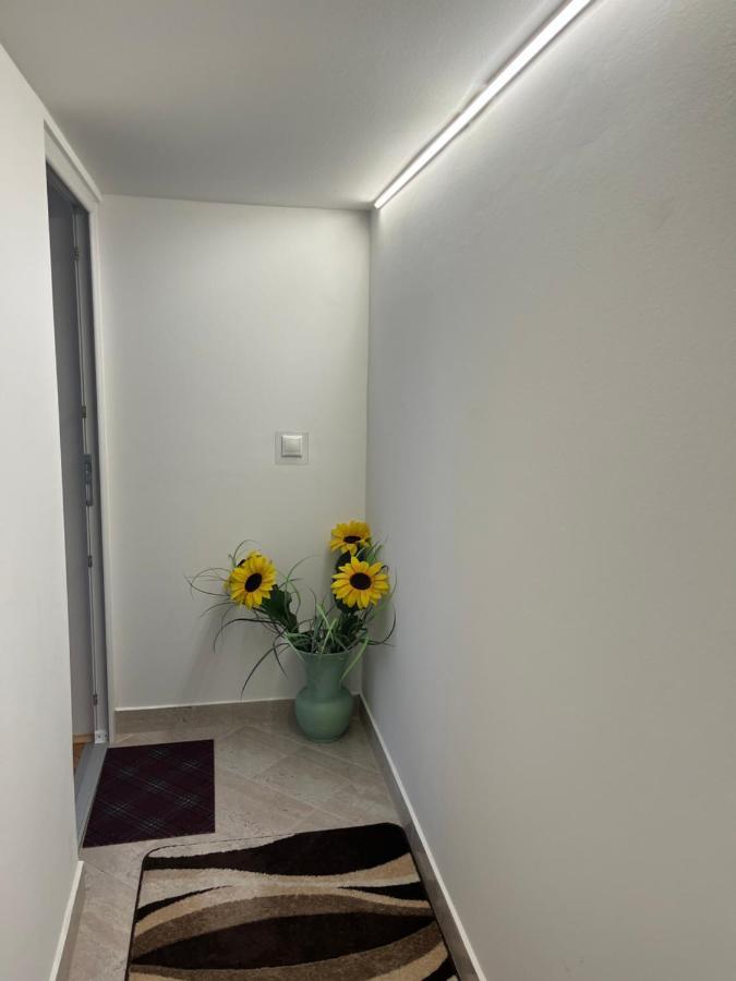 Vito Apartman 埃格尔 外观 照片